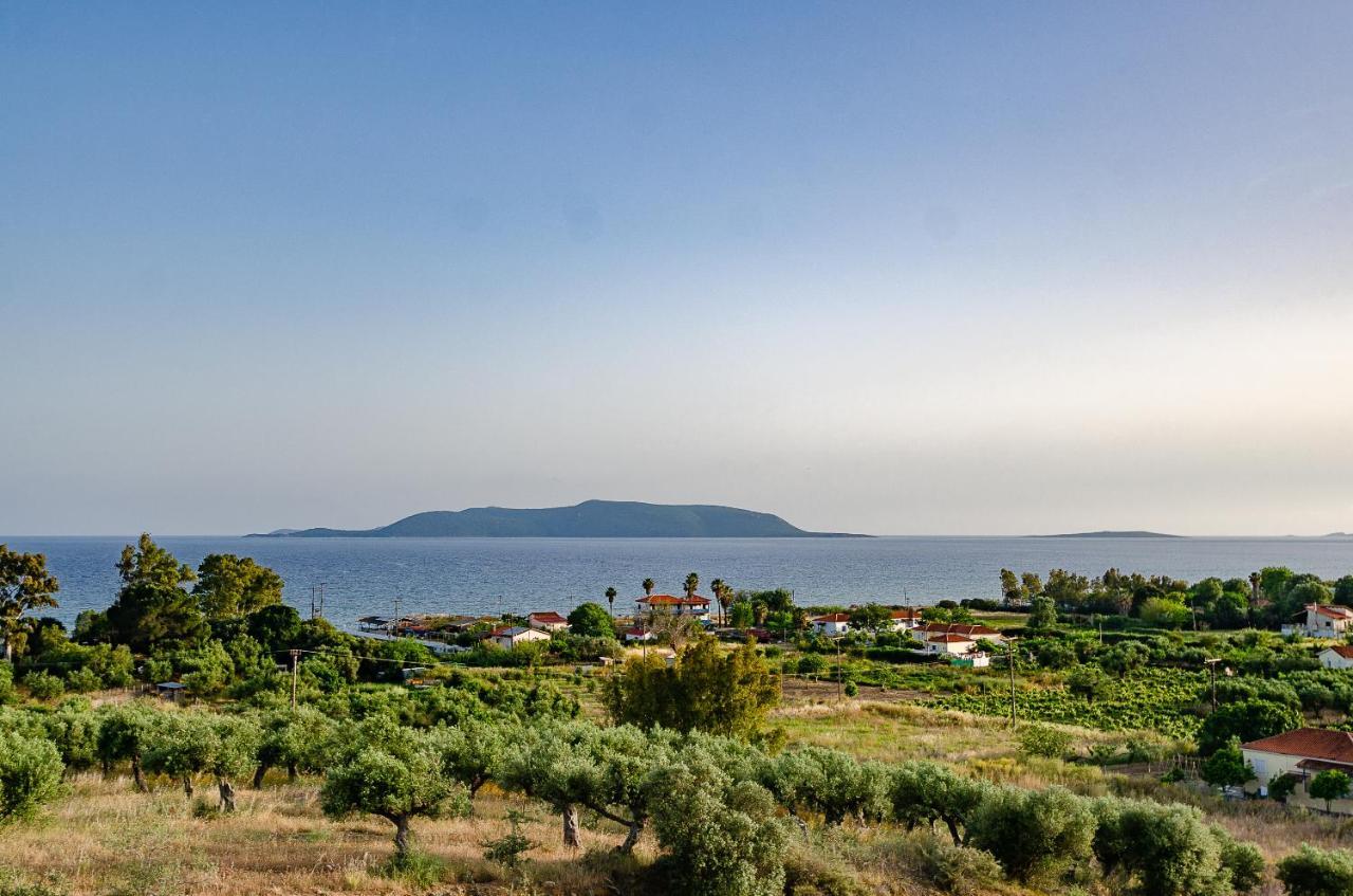 Salandore Blue Finikounta Dış mekan fotoğraf